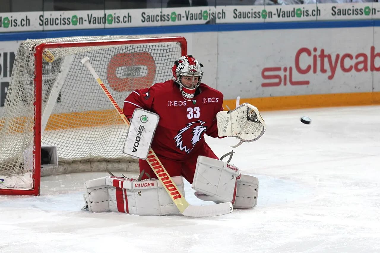 Lausanne, canton de Vaud — NLA, Lausanne HC vs. Rapperswil-Jona Lakers, 11th November 2014 03